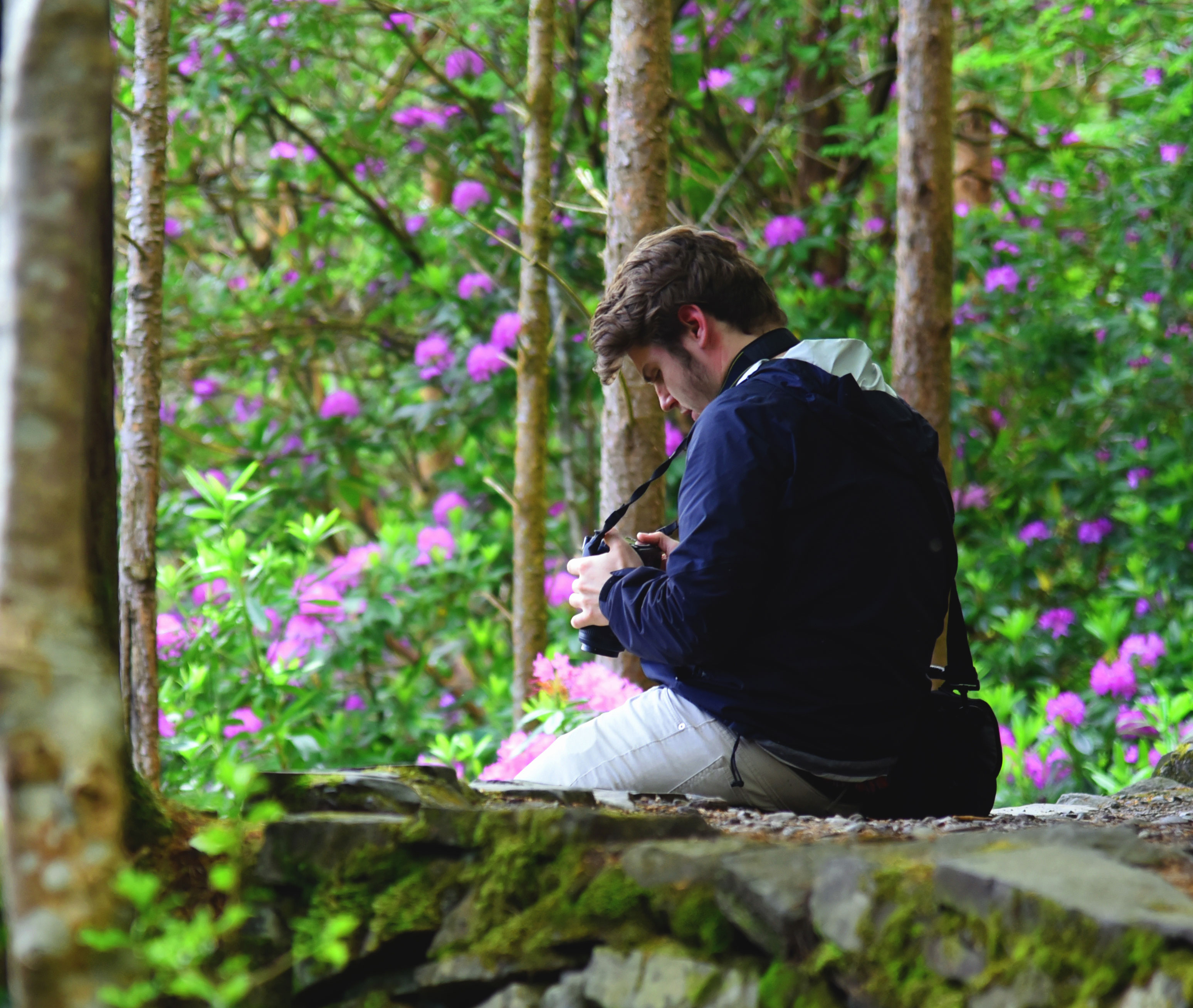 A man sitting on a rock wall in the forrest during the day. He is wearing tan pants with a black coat. The man is also using a camera to take pictures of the woods around him.